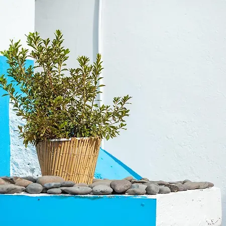 Penzion The Pallet -