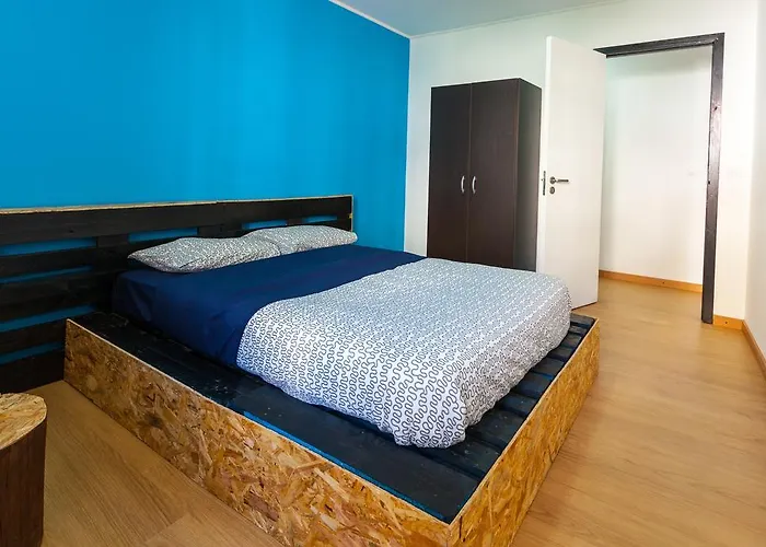 The Pallet - * 圣克鲁斯